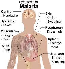 THE TREATMENT OF MALARIA